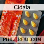 Cidala new01